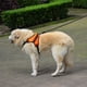 thumbnail image 5 of Pechera Arnés para Perro Mr. Pets Reflectante Ajustable naranja Chico, 5 of 12