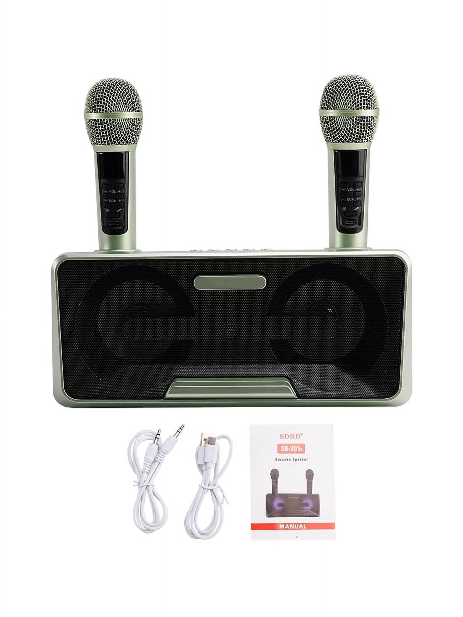 Wireless Bluetooth Dual Microphone Karaoke All-In-One Speaker for Home Outdoor