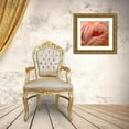 thumbnail image 3 of Fitzharris, Tim 13x12 Gold Ornate Wood Framed with Double Matting Museum Art Print Titled - Caribbean Greater Flamingo, 3 of 4