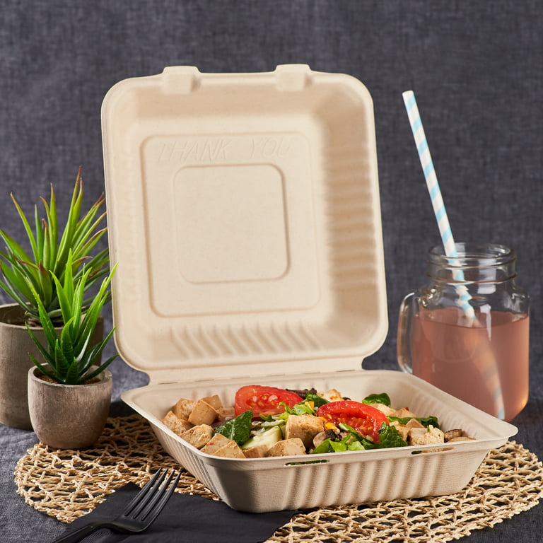 Medium Biodegradable Takeout Boxes - Karat Earth 9''x6'' Bagasse Hinged  Containers - 200 ct