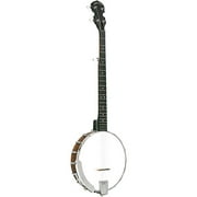 Gold Tone Banjo