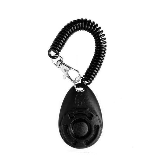 Sifflet pour Chat avec Sangle de Poignet, Entraînement pour Chien, Portable