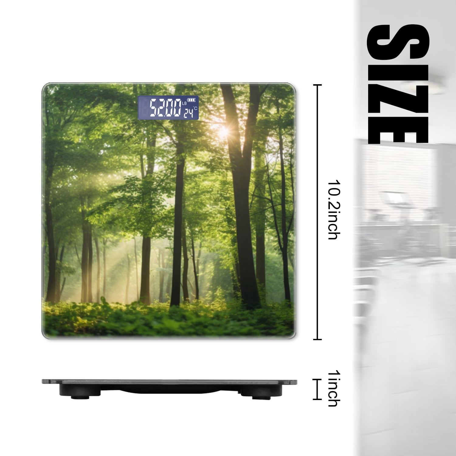 Digital Bathroom Scale with Large LCD Display,High Capacity Scale 400 lbs High Precision body fat scale-Forest Scene With Trees And Sunlight Filtering Through The Leaves