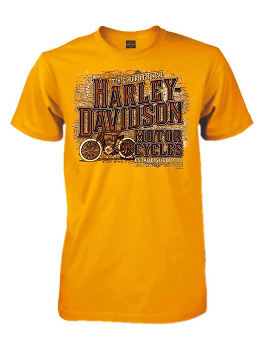 Harley-Davidson Men's Inspired Classic Short Sleeve Crew T-Shirt, (M), Harley Davidson -