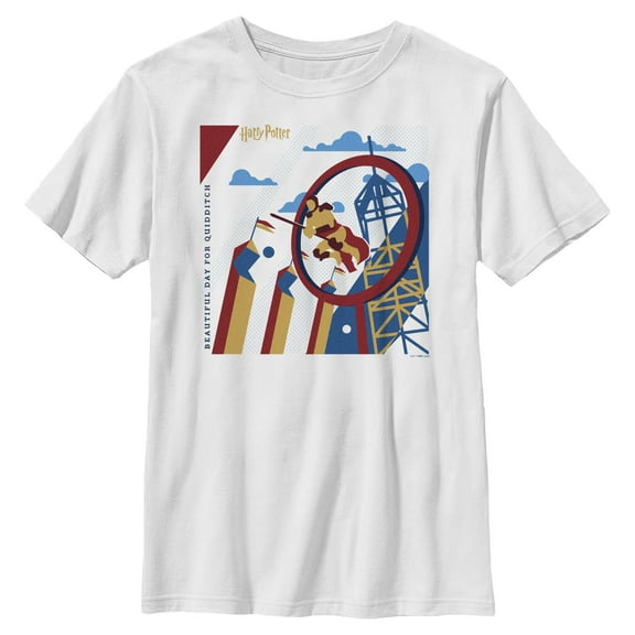 Boys Harry Potter Beautiful Day For Quidditch T Shirt