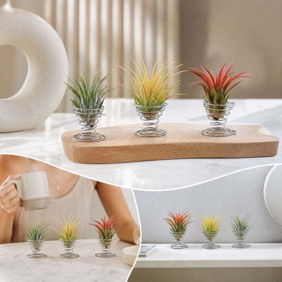 3 Pack Minimalist Metal Air Plant Stand, Spring Base Holder for Tillandsia, Desktop Office Workspace Botanical Decor, Small Plant Rack for Home Living Room