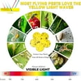 thumbnail image 6 of Gnat Traps for House Indoor,Flying ,Fruit Fly Traps,Fungus Gnat Traps Yellow Sticky Bug Traps,Non-Toxic and Odorless for Indoor Outdoor Use(Flowers 50pcs 5*3in)from ANMUYUM, 6 of 10