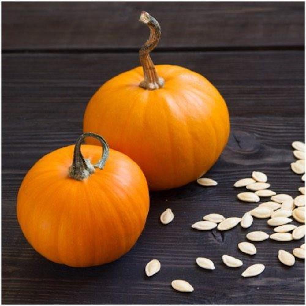 New England Sugar Pie Pumpkin Seeds - 5 grams - Walmart.com - Walmart.com