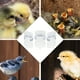 thumbnail image 3 of 3 comederos de agua para palomas, vasos de plástico para pájaros, bebederos automáticos, 3 of 5