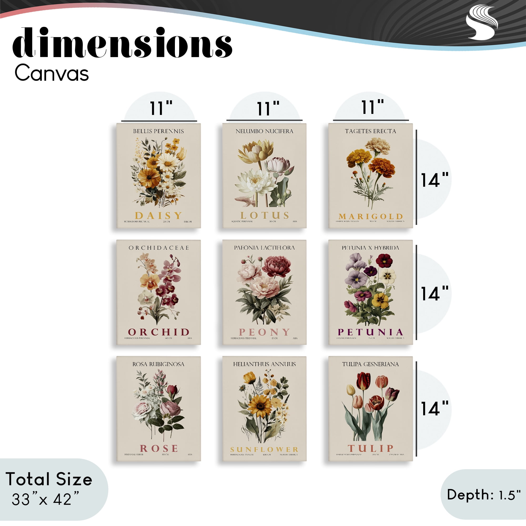 Stupell Industries Nature Botanicals Bundles 9 Piece Canvas Wall Art Set, design by Christopher Giampietro