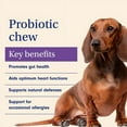 PetLab Co. Probiotics for Dogs Support Gut Health, Itchy Skin