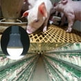thumbnail image 3 of Solar Light Bulbs Portable Outdoor Solar Tent Light with Rechargeable Battery, Solar Powered Lamp, Solar Energy LED Lantern Led Bulb Lights for Indoor Pet House Chicken Coop Camping Hiking Emergency, 3 of 14