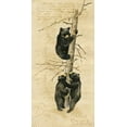 thumbnail image 2 of Phillips, Anita 9x14 Gold Ornate Wood Framed with Double Matting Museum Art Print Titled - Black Bears, 2 of 4