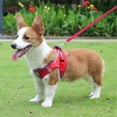 thumbnail image 5 of Reflective Dog Harness with Leash Set Breathable Pet Vest for Puppy Outdoor Walking Training and Easy Control, 5 of 9