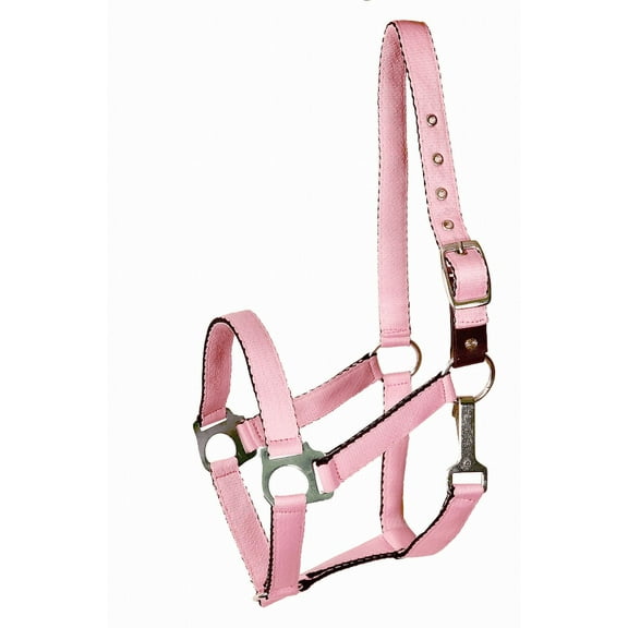 Gatsby Nylon Safety Breakaway Halter Foal Pink