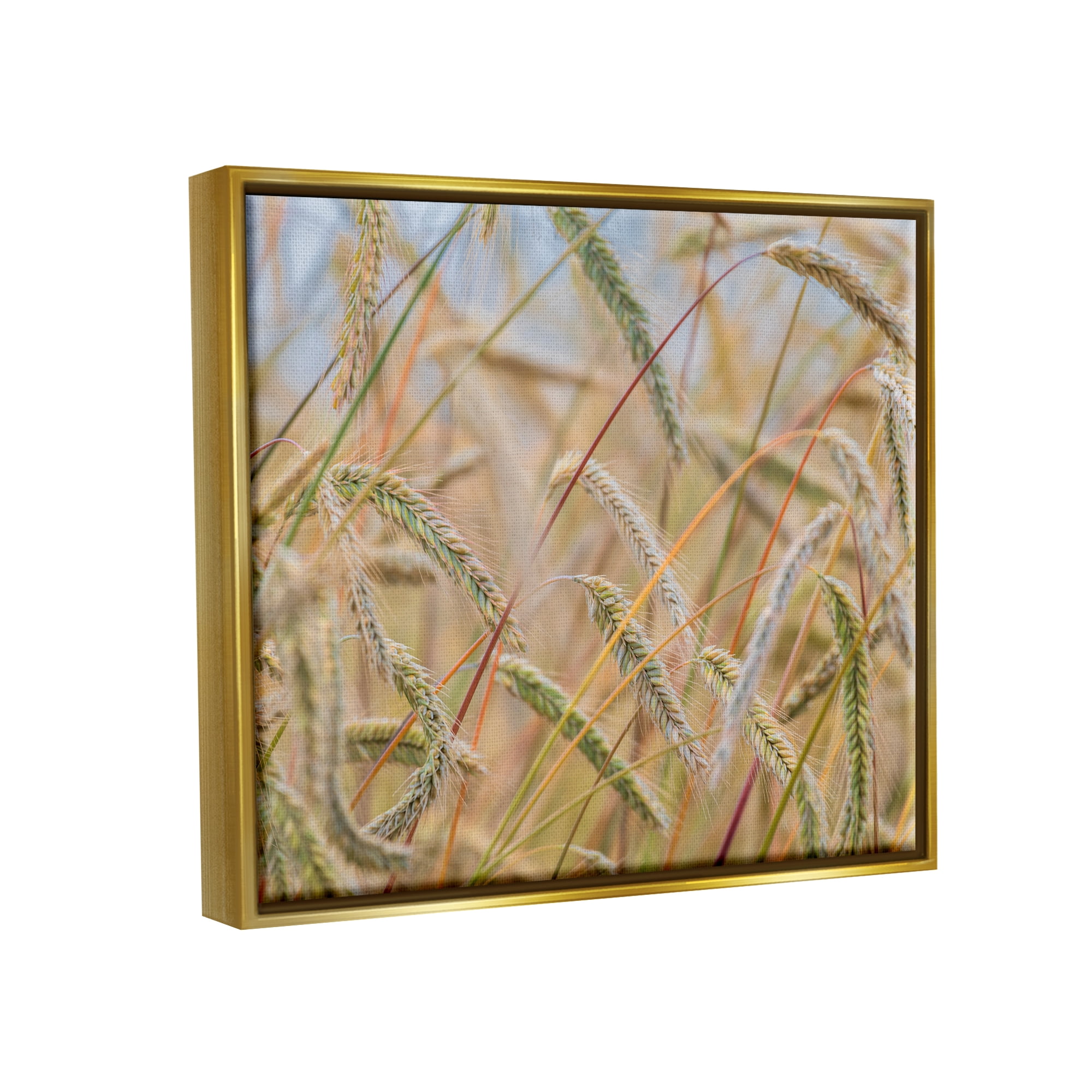 Stupell Industries Country Wheat Photography Nature Photography Gold Floater Framed Art Print Wall Art, 21 x 17
