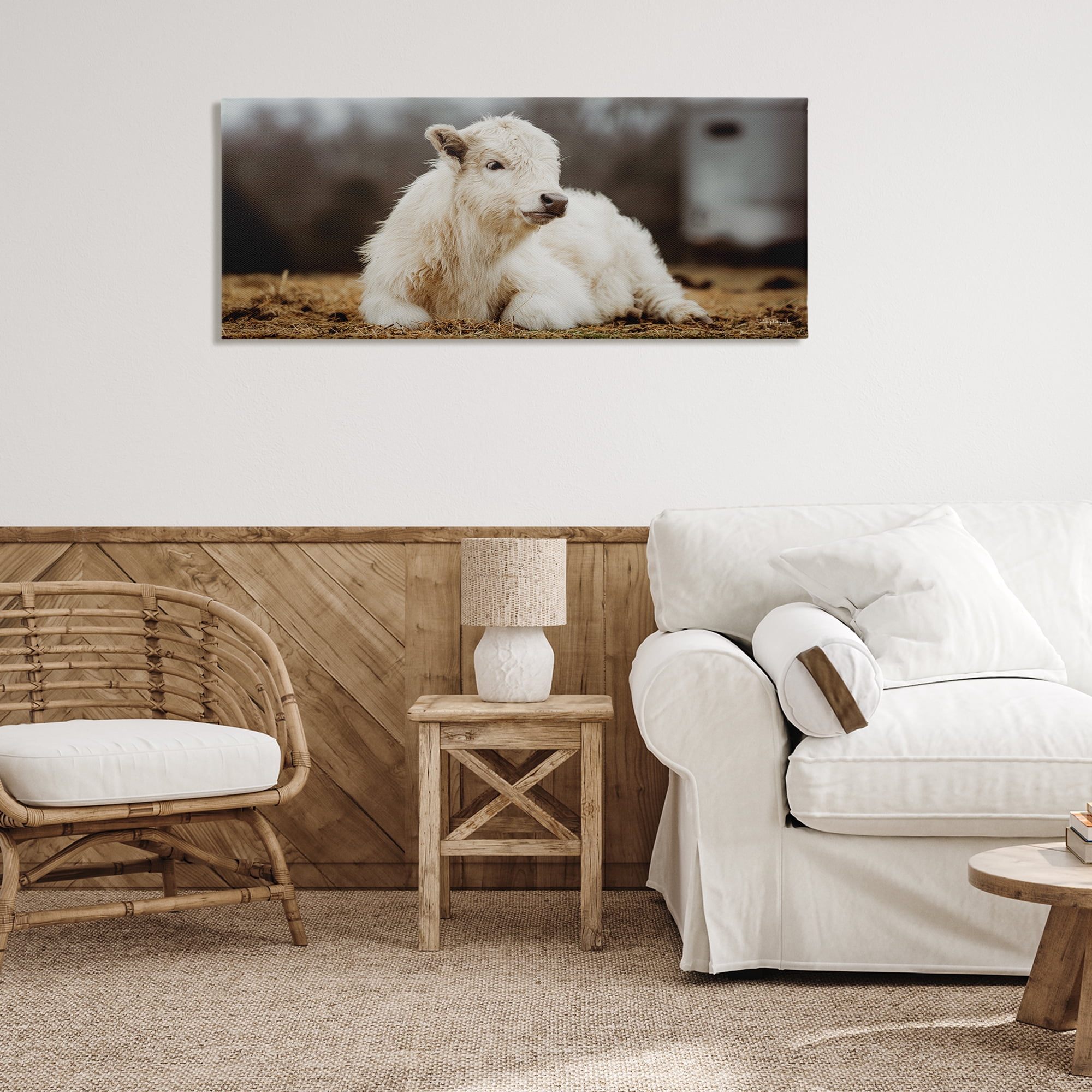 Stupell Industries Baby White Cattle Animals & Insects Photography Gallery Wrapped Canvas Art Print Wall Art, 48 x 20