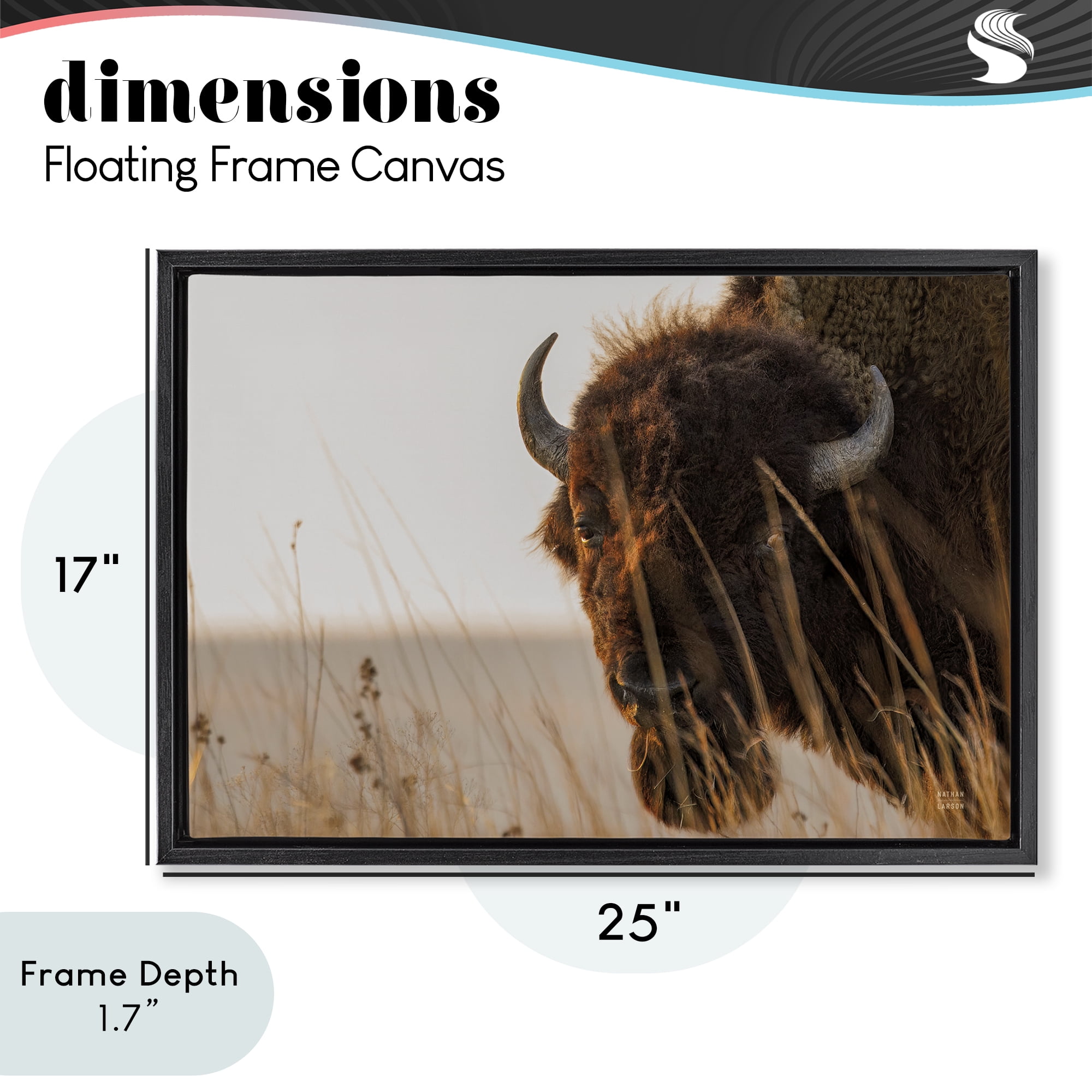 Stupell Industries Bison Sunset on Golden Prairie Black Framed Floater Canvas Wall Art, design by Nathan Larson