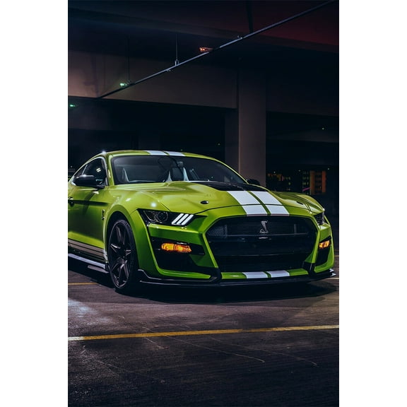 Ford Mustang Ford Racing Car Vintage Shelby Wall Art Home Decor - 12x18 Inch Laminated Poster - Stunning Detail and Bold Colors
