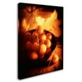 thumbnail image 2 of Trademark Fine Art 'Bowl Of Cherries' Canvas Art by Joe Felzman Photography, 2 of 3