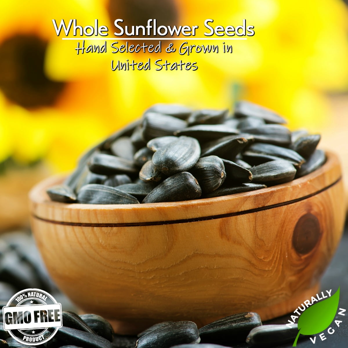 Unsalted Sunflower Seeds In Shell by Gerbs - 2 LBS - Top 14 Food Allergen Free & NON GMO - Dry Roasted