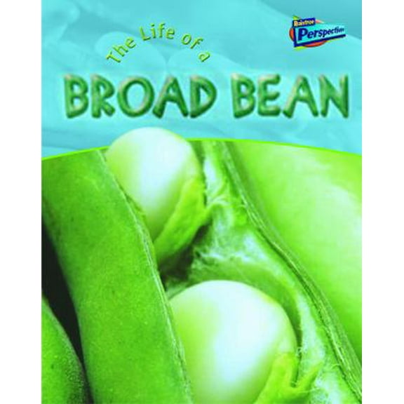 Pre-Owned Life of a Bean (Raintree Perspectives) (Life Cycles) (Paperback) 141090816X 9781410908162
