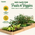 thumbnail image 3 of Greenes Fence 4' x 12' x 7-14" (3/4" Thick) Stair-Step Premium Cedar Raised Garden Bed, 3 of 8