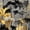 Color 4, variant on Modern Peel and Stick WallpaperFloral Lace Subtle Golden Grey 23.6in x 9.8ft Self Adhesive Contact Paper Removable