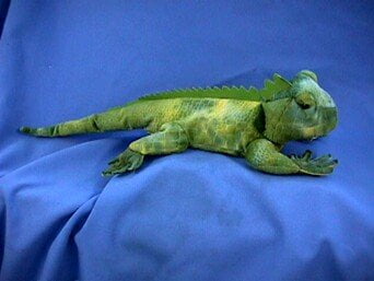 iguana stuffed animal walmart