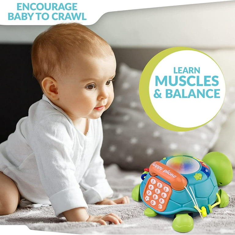 Boxgear Musical Turtle Toy Baby