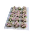 thumbnail image 4 of lionlar Bricolage Grappe de Fleurs Miniature Déco pour Modèle Architectural Décor Miniature Rose, 4 of 9