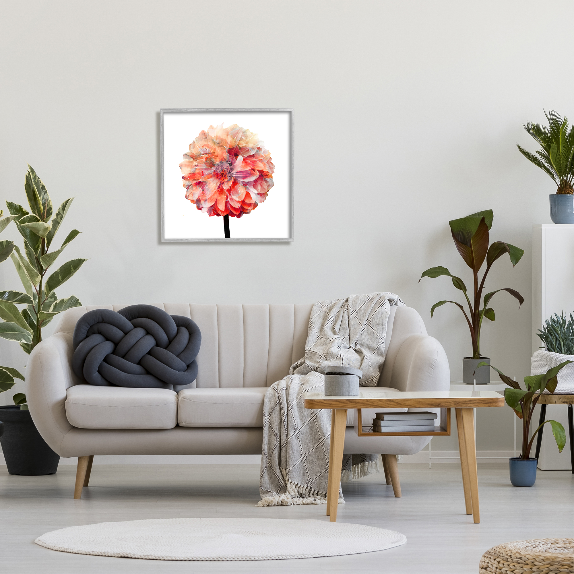 Stupell Industries Bright Coral Watercolor Bloom Dahlia Flower, 24 x 24,Design by Kimberly Allen