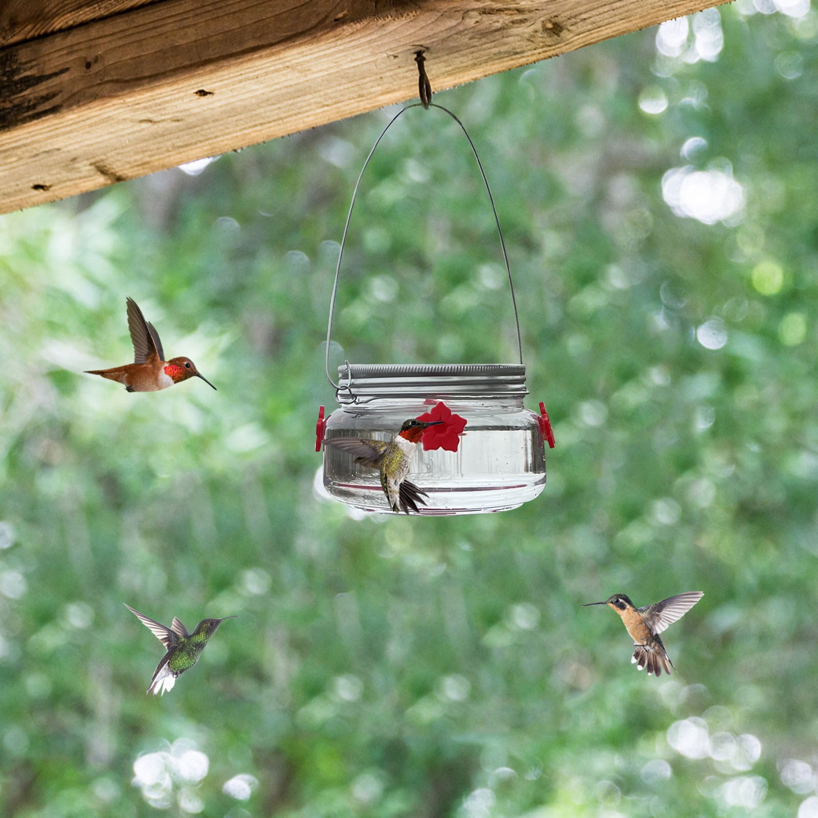 Stijggn Hummingbird Feeders for Outdoors Capacity Recycled Plastic Flat Mealworm Bird Feeder Tray for Wild Backyard Attracting Birds