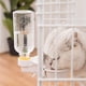 thumbnail image 5 of Dispensador de agua automático para jaula de hámster de 500 ml, botella de agua para conejos, chinchillas, conejillos de indias, cerdos, erizos y hurones, 5 of 5