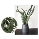 thumbnail image 3 of Bundle Ramo De Hojas Verdes Ramo De Flores Secas Flores Reales Secas Al Aire Natural Ramas De Flores Secas Decoración De Flores De Boda Para Fiestas Inevent HA039741-01, 3 of 6