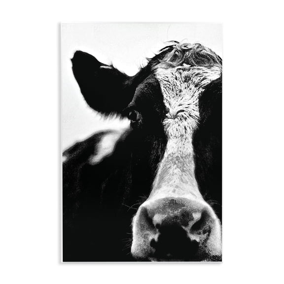 Stupell Industries Farmhouse Cow Face Portrait Wall Plaque Art, 10 x 15, by Lettered and Lined