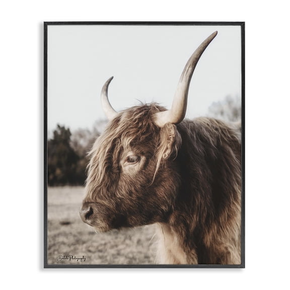 Stupell Industries Farmhouse Horned Cattle Peering Black Framed Giclee Art, 11 x 14, by Dakota Diener
