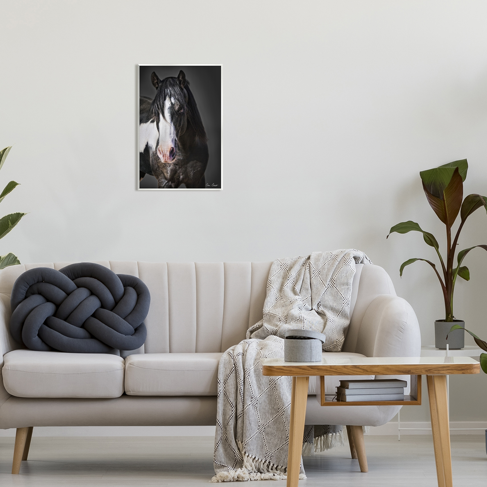 Stupell Industries Black & White Horse Animals & Insects Photography Unframed Art Print Wall Art, 13 x 19