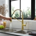 thumbnail image 4 of Nette Single-Handle Brass Kitchen Faucet with Pull Down Sprayer in Brushed Gold, 4 of 16