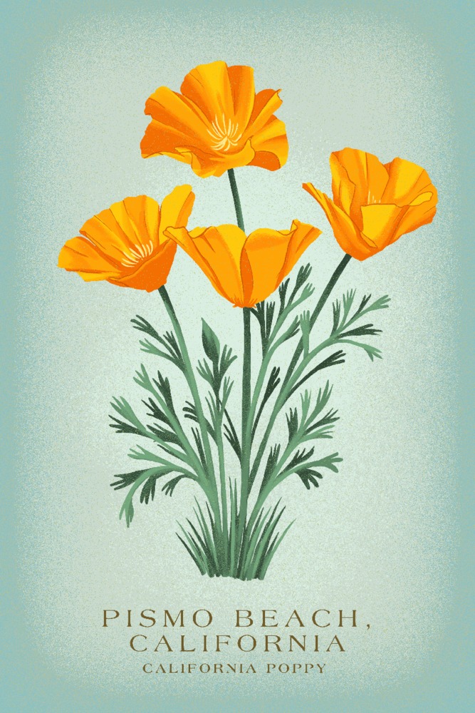 Pismo Beach, California, Vintage Flora, State Series, California Poppy (24x36 Giclee Gallery Art