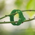 thumbnail image 5 of 100pcs Plant Support Clips Plastic Garden Clips for Tomatoes,Cucumbers & Vines Reusable Plant Ties & Training Clips for Vertical Gardening 1" x 0.4" Size, 5 of 7