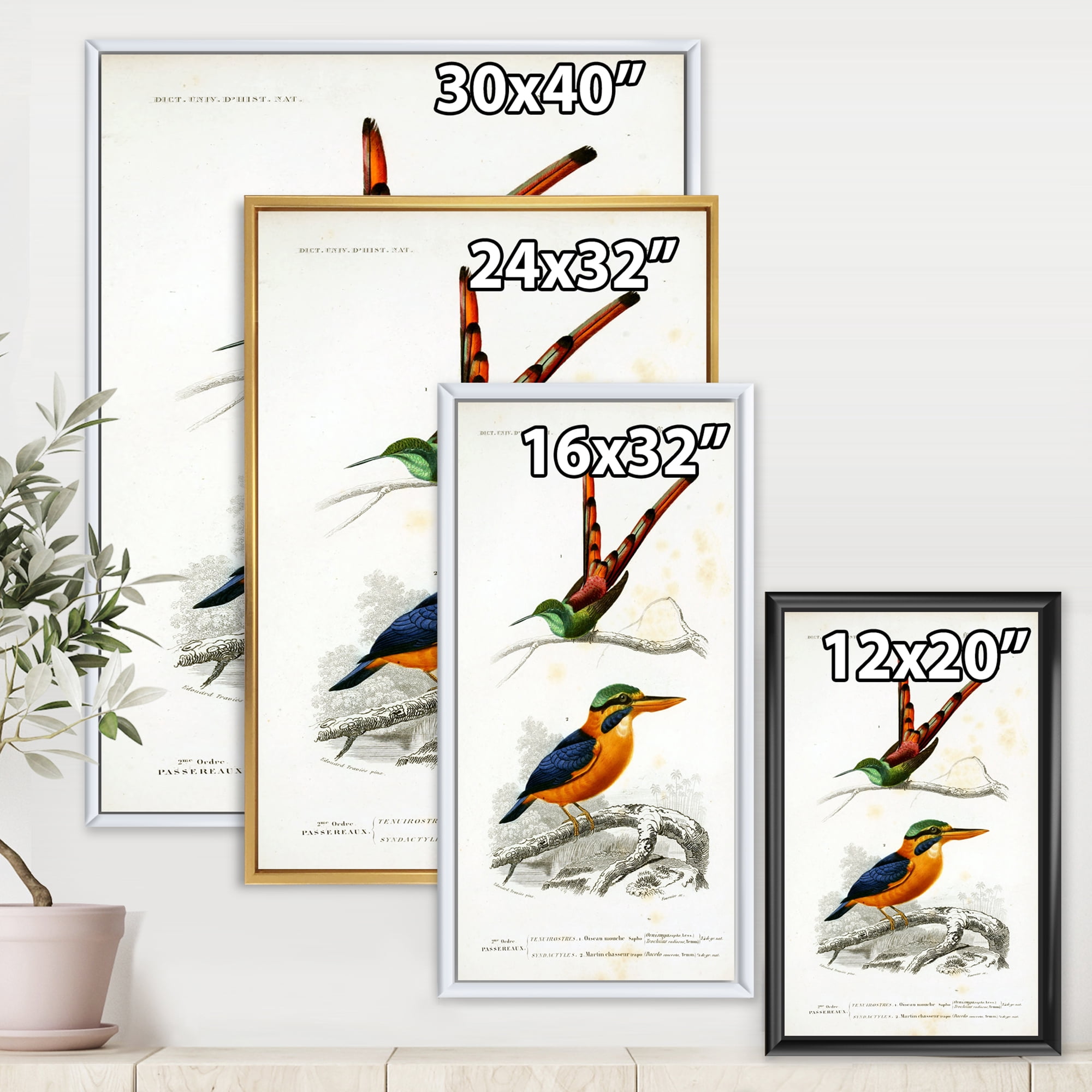 Designart 'Ancient Bird I' Traditional Framed Canvas Wall Art Print