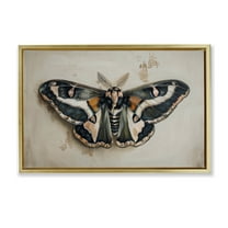 Stupell Industries Dark Winged Moth Animals Painting Gold Floater Framed Canvas Art Print Wall Art, 31 x 21