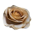thumbnail image 2 of 3D Visual Flower Pattern Decorative Mat Lightweight Washable Irregular Carpet for Home Bedroom Living Room Bathroom and Camping, 2 of 7