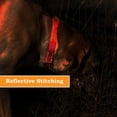 thumbnail image 4 of Collar para perro PAWBLEFY de nailon reflectante personalizado con nombre, 4 of 7