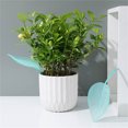 thumbnail image 3 of Funny Watering Leaves, Leaflow Plant Pot Watering Funnel, Plant Watering Devices, Plant Waterer For Indoor And Outdoor Plants, 3 of 4