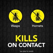 Raid MAX Foaming Wasp and Hornet Killer, Fast Coverage Outdoor Foaming Spray, 16.5 oz