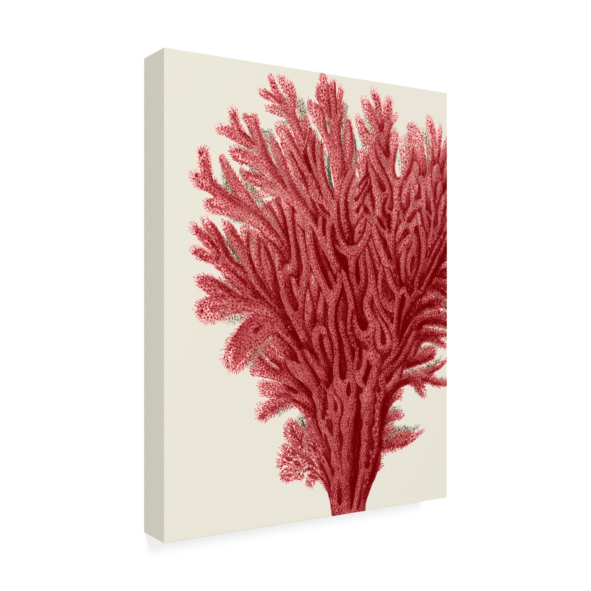 Trademark Fine Art 'Red Corals 2 A' Canvas Art by Fab Funky