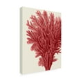 thumbnail image 2 of Trademark Fine Art 'Red Corals 2 A' Canvas Art by Fab Funky, 2 of 3
