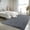 Gray, variant on IR Imperial Rooms Shag Rug 2ft x 3ft Anti-Slip Soft Fluffy for Living Room Bedroom Decor Carpet Tie Dye Light Grey